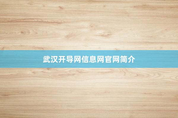 武汉开导网信息网官网简介